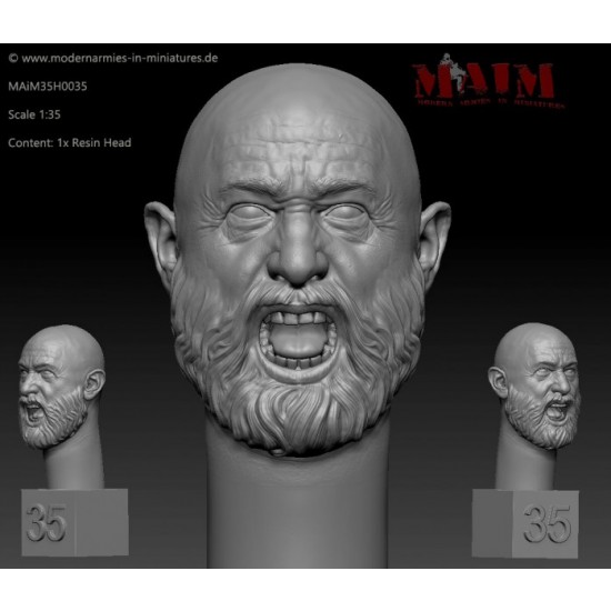 1/35 Bald Head Bearded: Screaming Face Impression #0035 (1pcs)