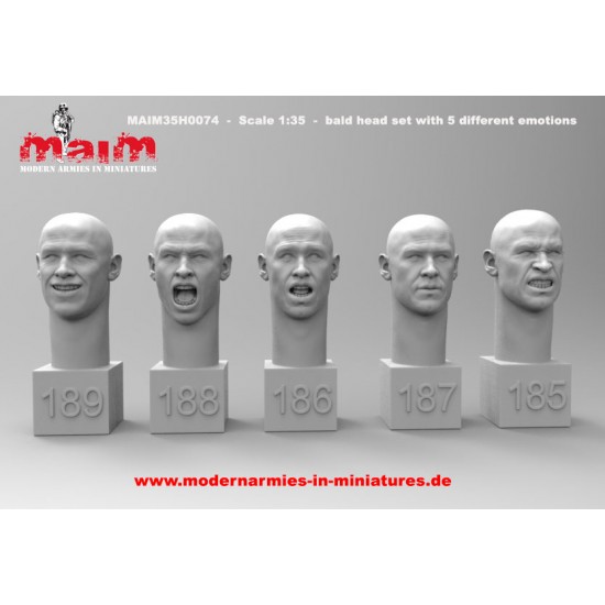 1/35 Bald Heads with 5 Different Emotions (5 Heads)