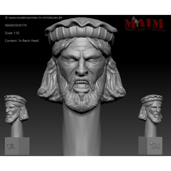 1/35 Iraqi/Taliban/Afghan Character Head Set N #0174 (1pcs)