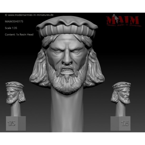 1/35 Iraqi/Taliban/Afghan Character Head Set O #0175 (1pcs)