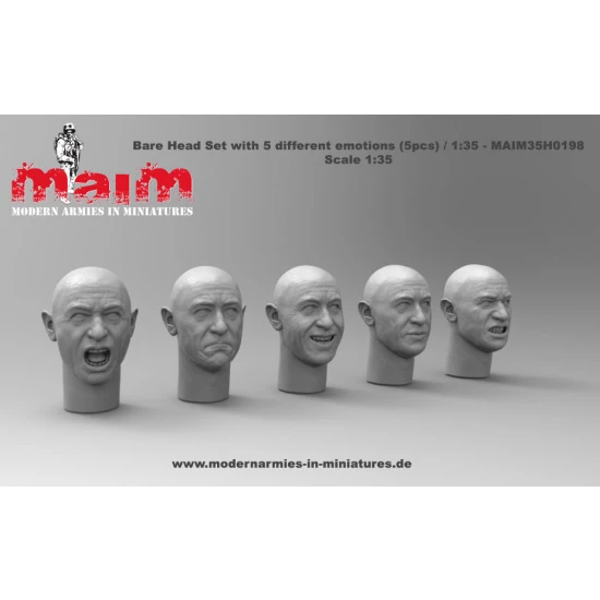 1/35 Bare Head Set with 5 Different Emotions (5pcs, resin)