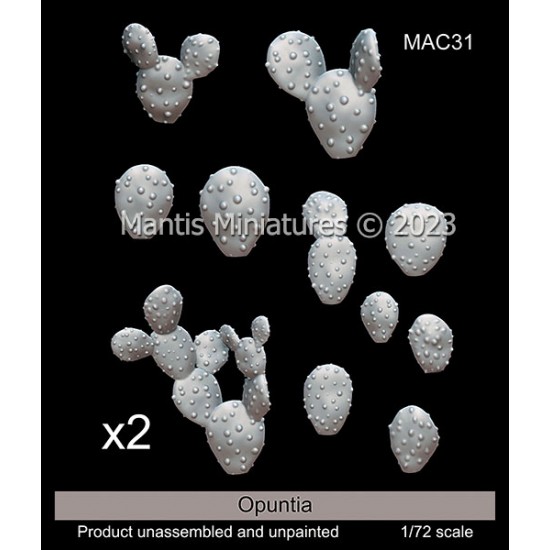 1/72 Miniatures Opuntia (2pcs)