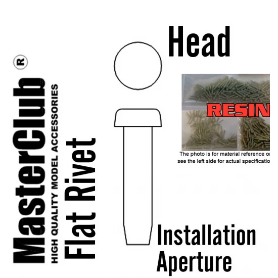 Flat Rivet #Head Dia.: 1.0mm, Installation Aperture Dia.: 0.8mm (100pcs)