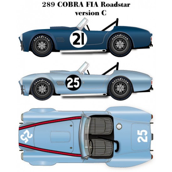 1/24 Multimedia kit: 289 Cobra FIA Roadstar Version. C