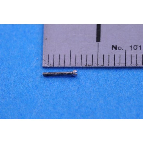 Odd-Shaped Minus Screw (Diameter: 0.8, Length: 5.5mm, 10pcs)