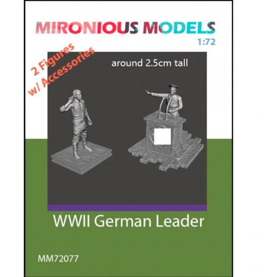 1/72 WWII German Leader (2 figures with accessories)