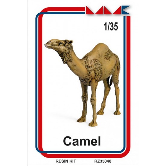 1/35 Camel