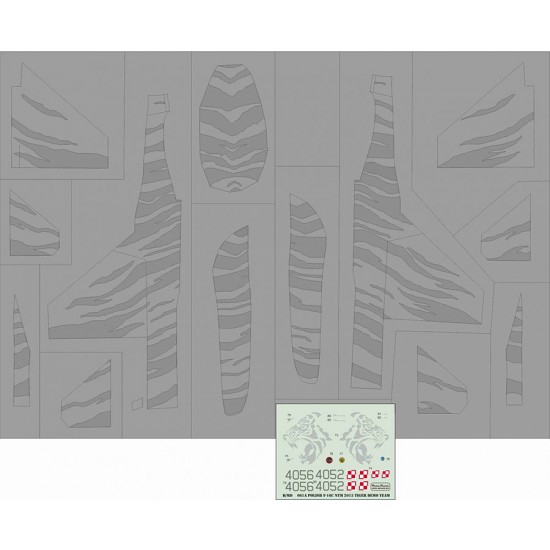 1/48 Polish F-16C Nato Tiger Meet 2015 - Demo Team Masks and Decals Set