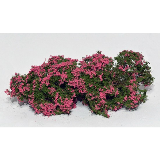 Fine Bushes Flowering Shrubs - Pink