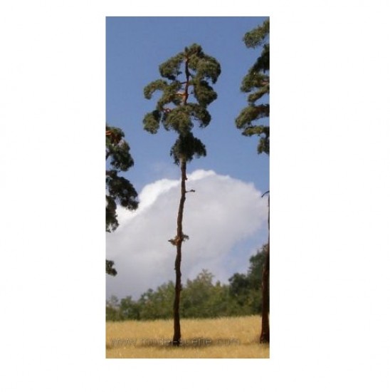 Pine Tree 180-220mm (2pcs)