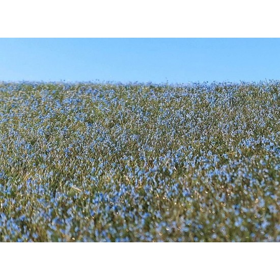 Agro Line Blooming Flax Field (18x28 cm)
