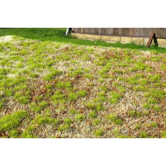 [Premium Line] Grass Mat - Steppe Spring (Size: 18x28cm / 7"x11")