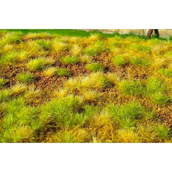 Minipack Steppe Unwatered Late Summer