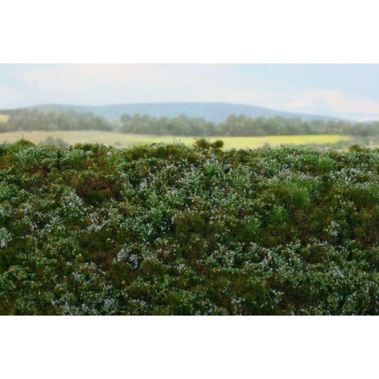 Grass Mat - Blueberries Mini Pack (Size: 13 x 17 cm)