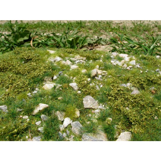 Grass Mat w/Calc Stones - Early Summer Vol.1 (Size: 18 x 28 cm)