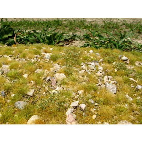 Grass Mat w/Calc Stones - Late Summer Mini Pack (Size: 13 x 17 cm)