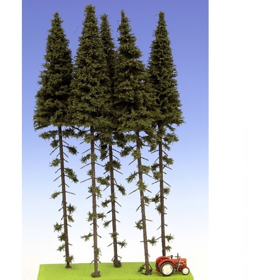 Spruce with Trunk 280-320mm (5pcs)