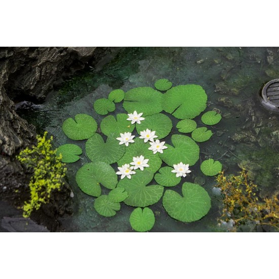 1/35 Waterlily (laser cut paper sheets)