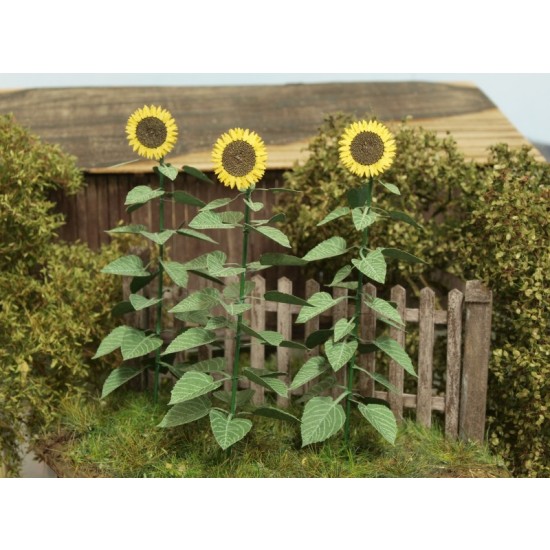 1/48 Dry Fern