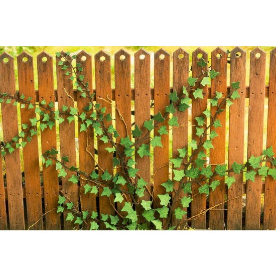 1/48 Low Vegetation - Ivy