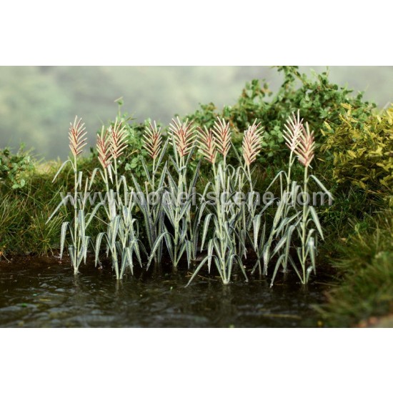 1/48 Reeds
