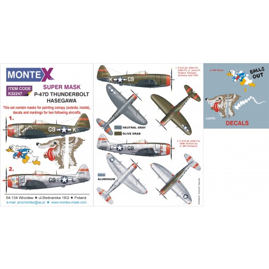 1/32 P-47D Thunderbolt Paint Mask with Decals for Hasegawa kit 