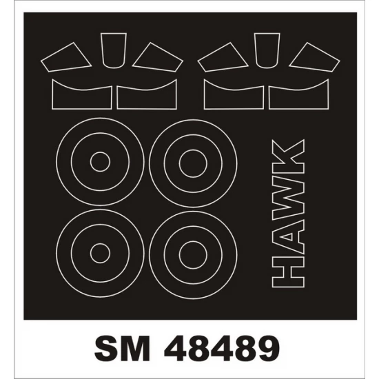 1/48 Curtiss Hawk III Paint Masks for Freedom Model Kit (Outside & Inside)
