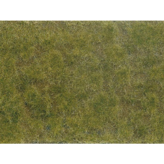 Groundcover Foliage Green/Brown (12 x 18 cm)