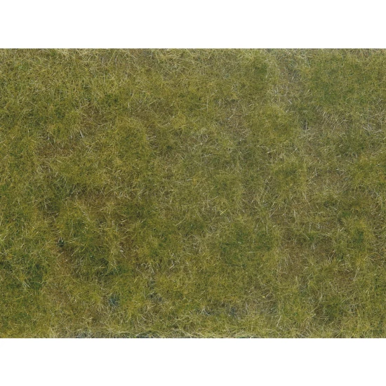 Groundcover Foliage Green/Brown (12 x 18 cm)