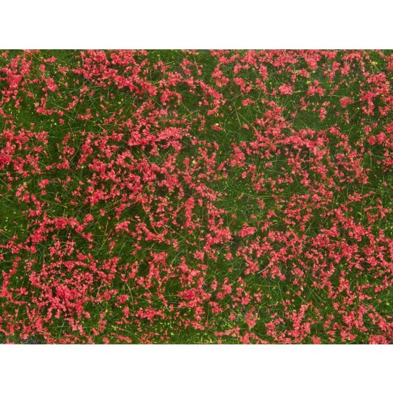 Groundcover Foliage Meadow Red (12 x 18 cm)