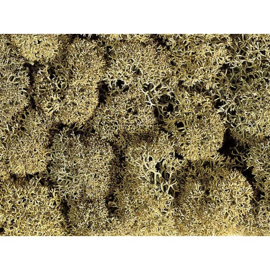 Lichen (stone-grey, 35g) For G,O,HO,HOE,HOM,TT,N,Z Scale
