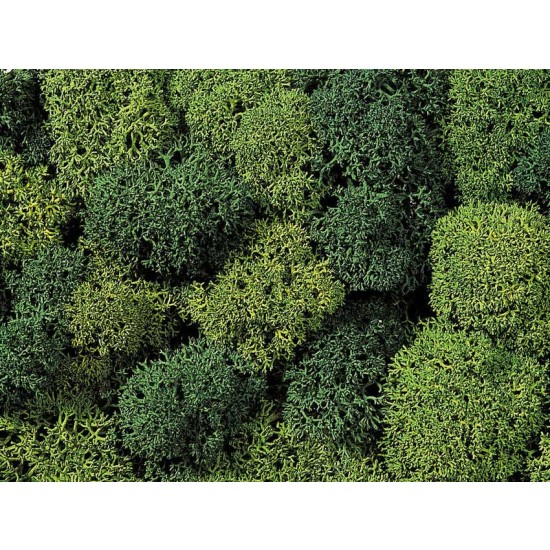 Lichen (green mix, 35g) For G,O,HO,HOE,HOM,TT,N,Z Scale