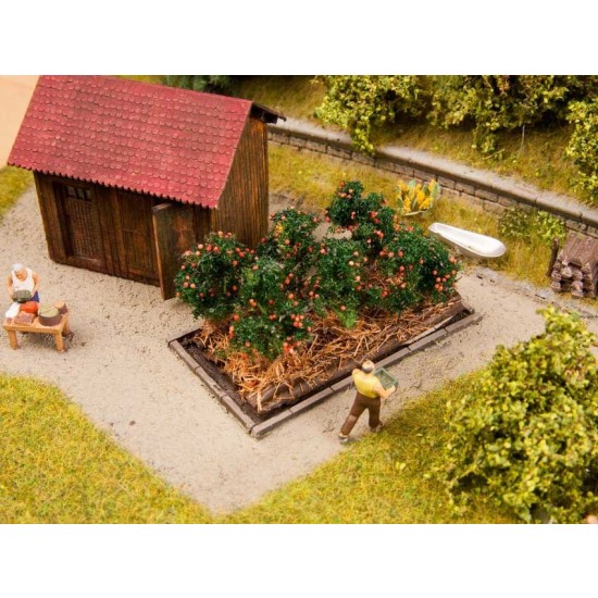 HO Scale Tomato Plants (Length: 30mm, Width: 60mm)