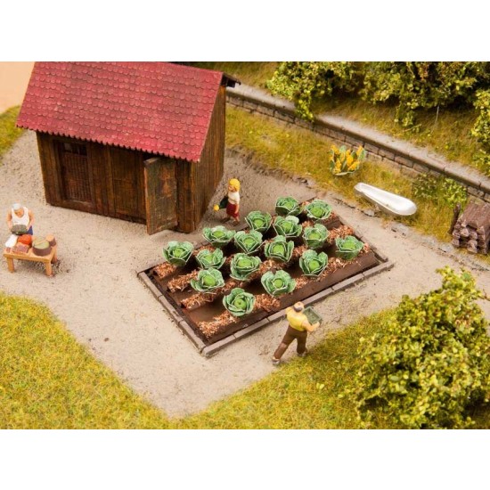HO Scale White Cabbage (Length: 30mm, Width: 60mm)