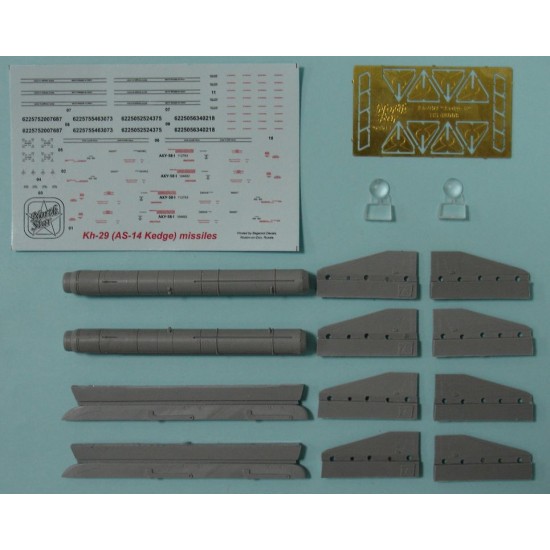 1/48 Kh-29T (NATO AS-14 Kedge B) with AKU-59 (pylon) Air-to-Surface Missiles