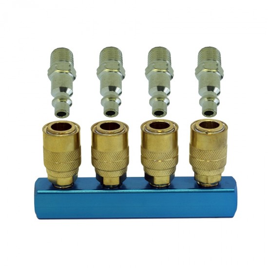4 Outlet Manifold with Quick Disconnect Fittings