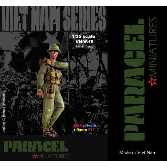 1/35 North Vietnam Army (NVA) Private #F
