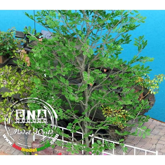 1/35 Oak - Paper Plant kit