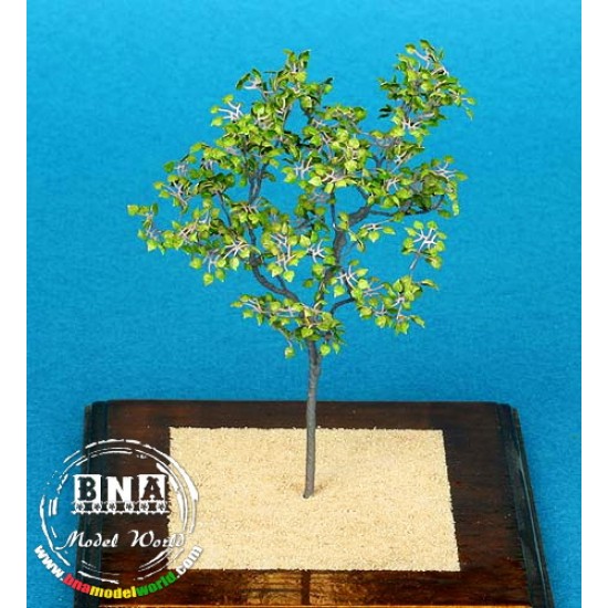 1/48 Lime Tree - Paper Plant kit