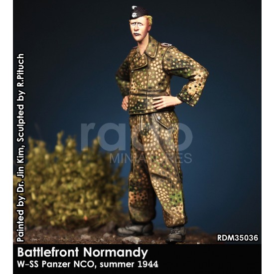 1/35 WSS Panzer NCO, Summer 1944