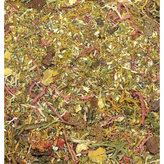 Ground Detailed Scatter for Groundwork- Autumn Forest (80ml)