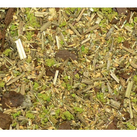 Ground Detailed Scatter for Groundwork- Wild Pasture (80ml)
