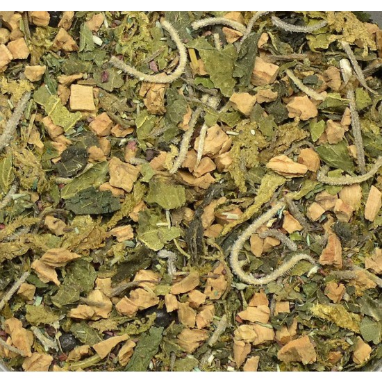 Ground Detailed Scatter for Groundwork- Jungle Forest (80ml)
