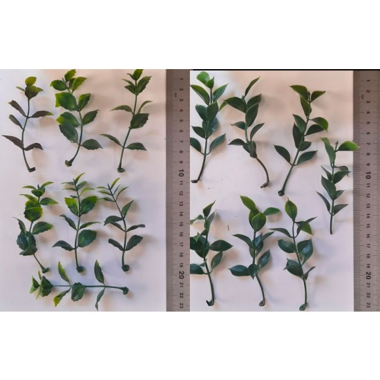 1/35 - 1/16 Plastic Plants - Jungle Plant Set #6 (15pcs, 2 types)