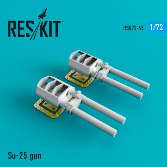 1/72 Sukhoi Su-25 Gun (2pcs)