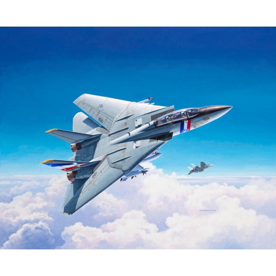 1/100 Grumman F-14D Super Tomcat