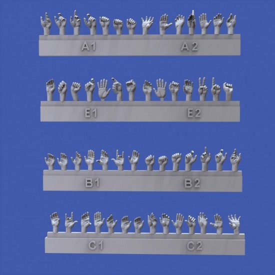 1/48 Assorted Hands