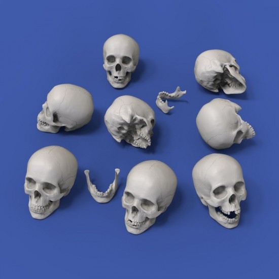 1/35 Skulls (8pcs)