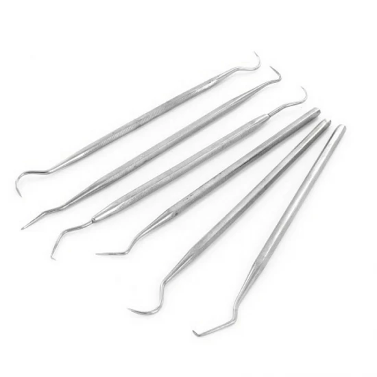 6 Pieces Stainless Steel Probes Set