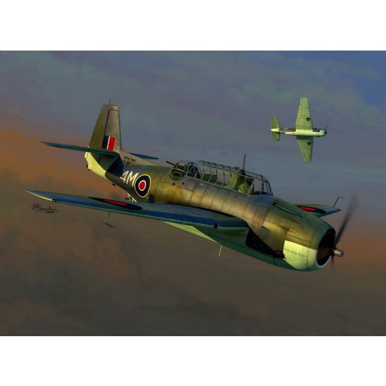 1/72 Grumman Tarpon MK.I